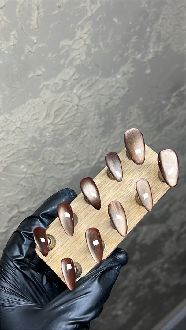 Chocolate Cat-Eye - another view