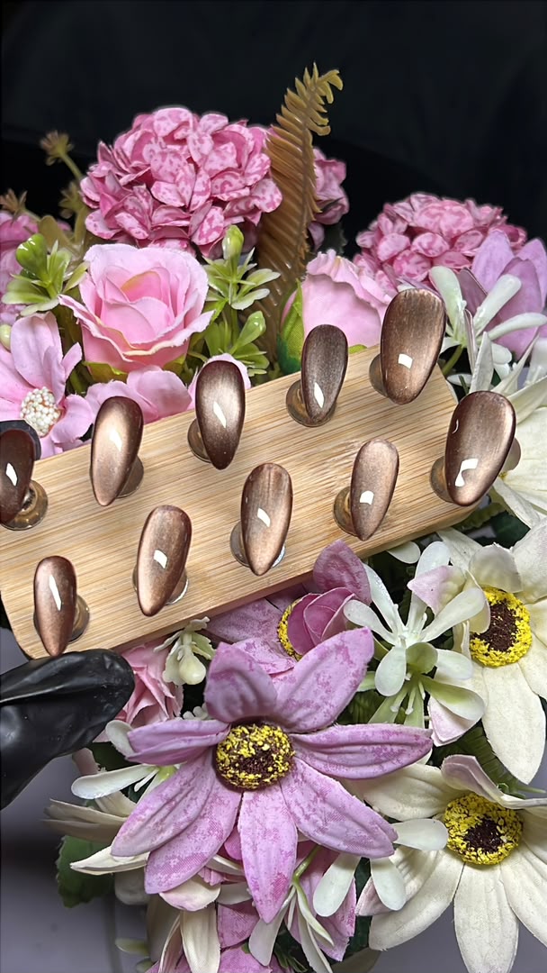 Chocolate Cat-Eye press-on nails